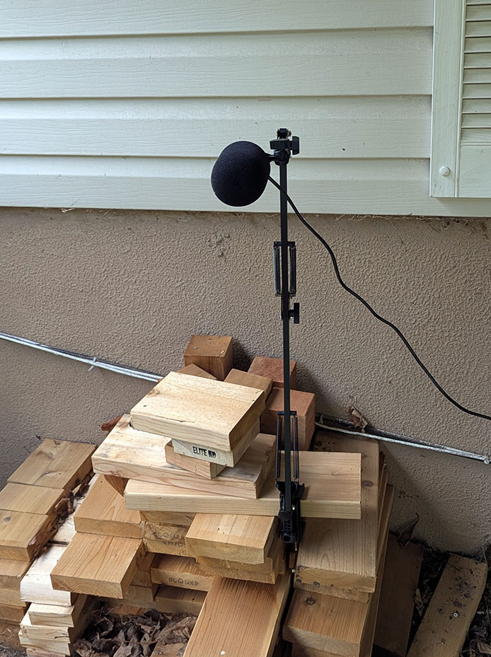 Microphone