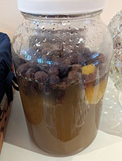 Fermenting